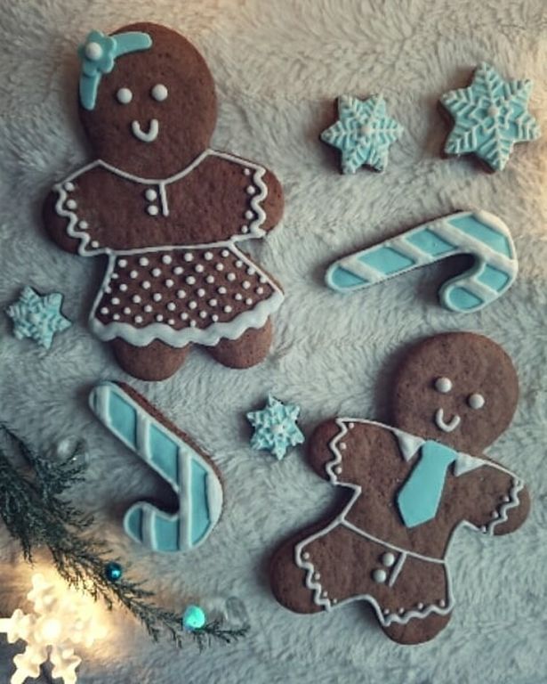 Ιδέες διακόσμησης χριστουγεννιάτικων μπισκότων για το παιδικό πάρτι (pics)