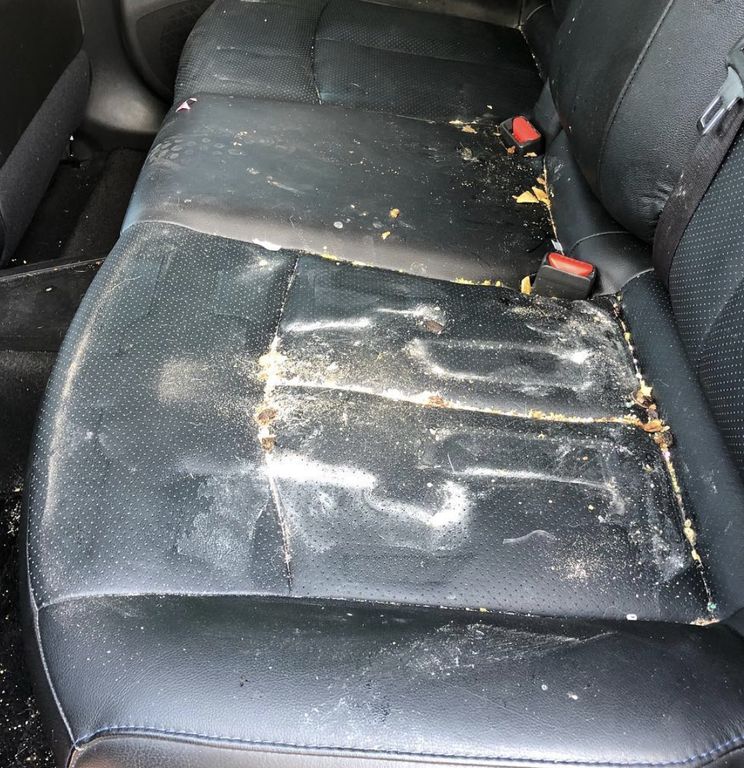 Δείτε τι βρήκαν αυτοί οι γονείς κάτω από το παιδικό κάθισμα του αυτοκινήτου (pics) 