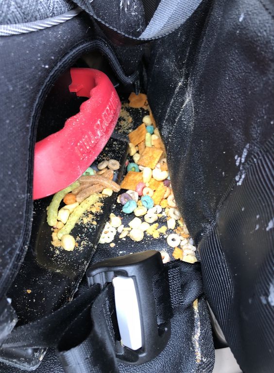 Δείτε τι βρήκαν αυτοί οι γονείς κάτω από το παιδικό κάθισμα του αυτοκινήτου (pics) 