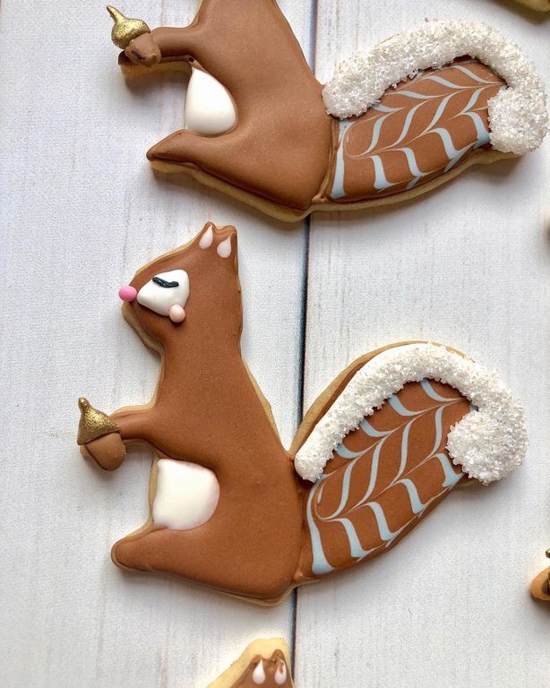 Συνταγή για μπισκοτάκια σκιουράκια: Τα παιδιά θα τα λατρέψουν! (pics & vid)