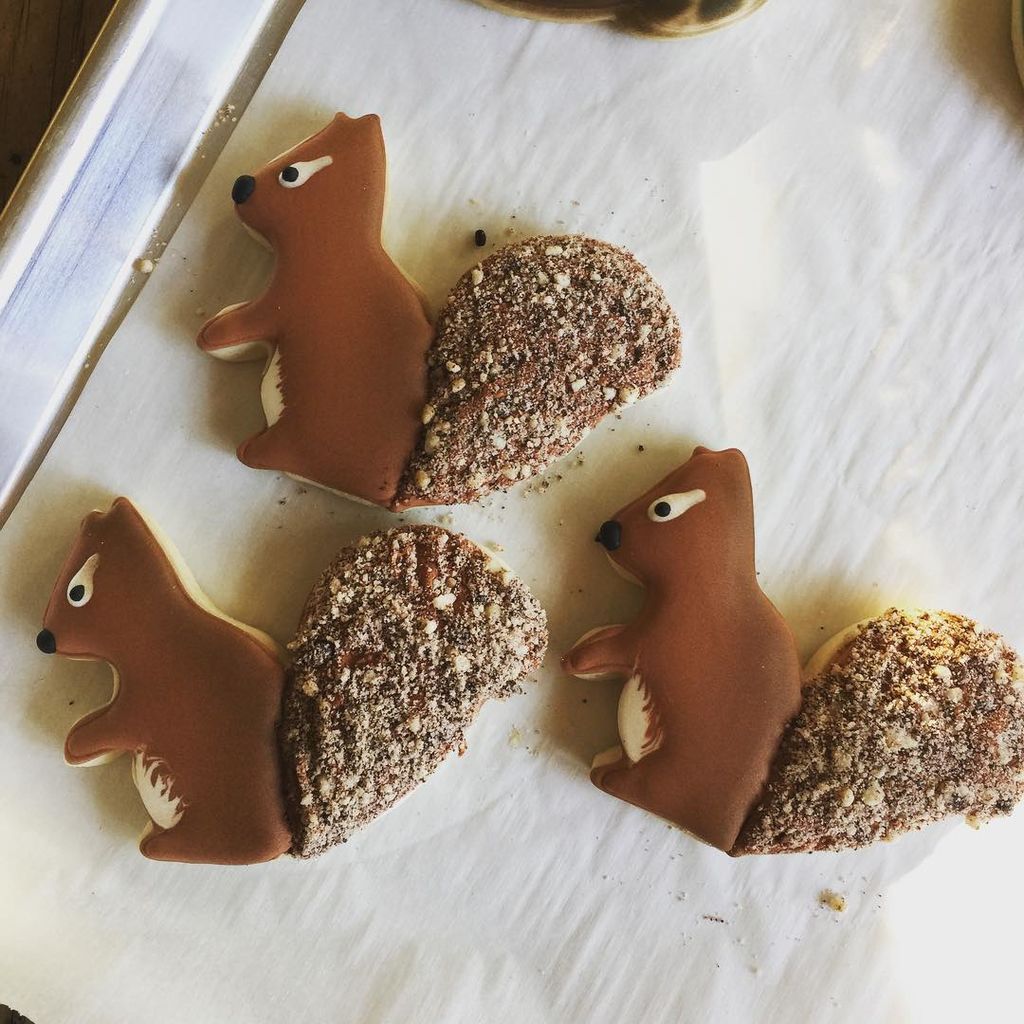 Συνταγή για μπισκοτάκια σκιουράκια: Τα παιδιά θα τα λατρέψουν! (pics & vid)