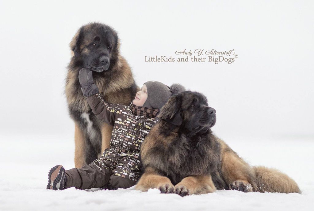  Αυτές οι φωτογραφίες των μικρών παιδιών με τα γιγάντια σκυλιά τους είναι απλώς… φανταστικές! (pics)