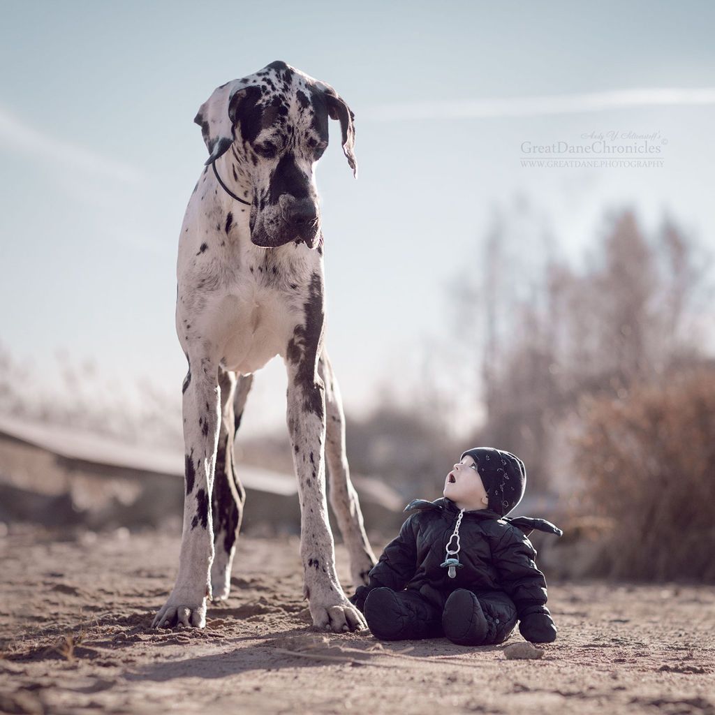  Αυτές οι φωτογραφίες των μικρών παιδιών με τα γιγάντια σκυλιά τους είναι απλώς… φανταστικές! (pics)