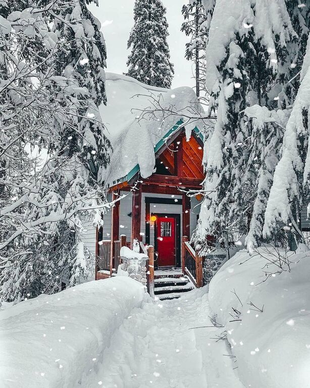 Αν σας αρέσουν τα ξύλινα μικρά σπίτια, θα πάθετε πλάκα με αυτά που θα δείτε σήμερα (pics)