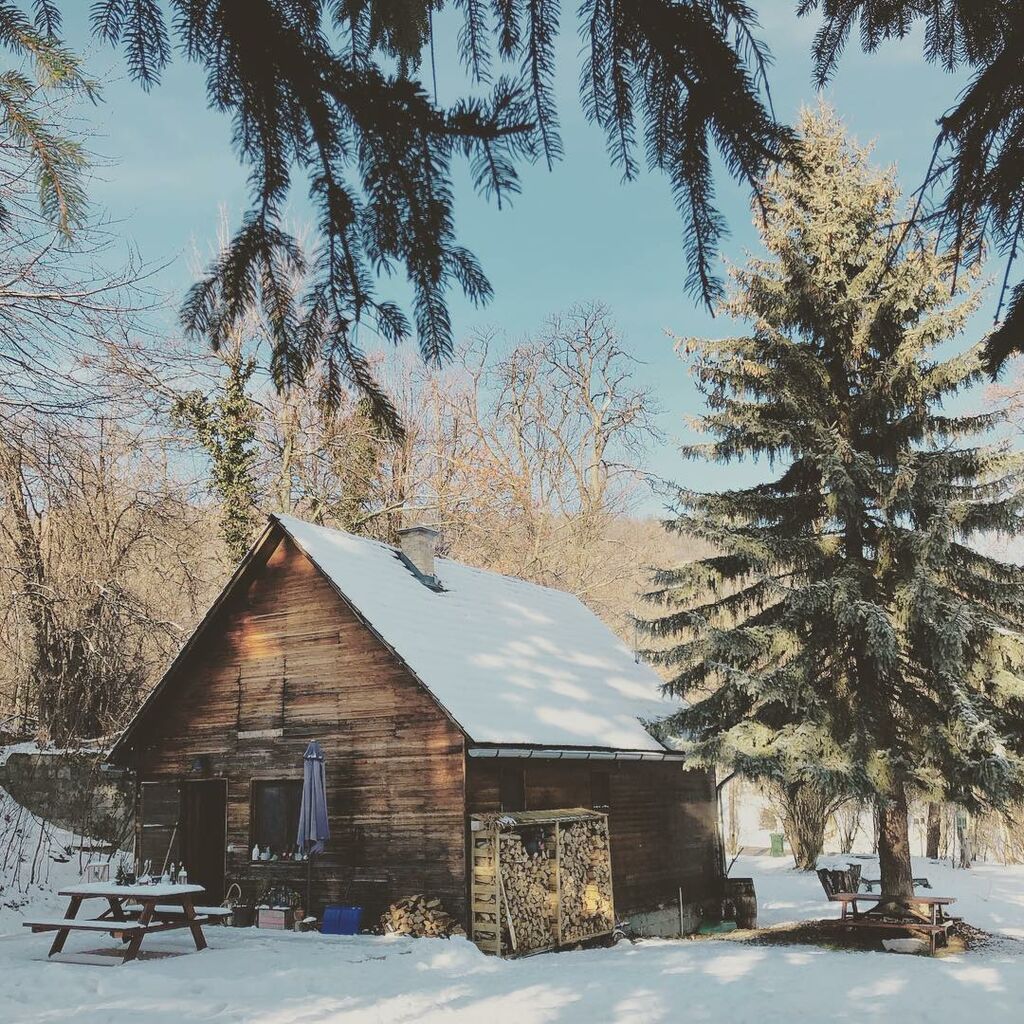 Αν σας αρέσουν τα ξύλινα μικρά σπίτια, θα πάθετε πλάκα με αυτά που θα δείτε σήμερα (pics)