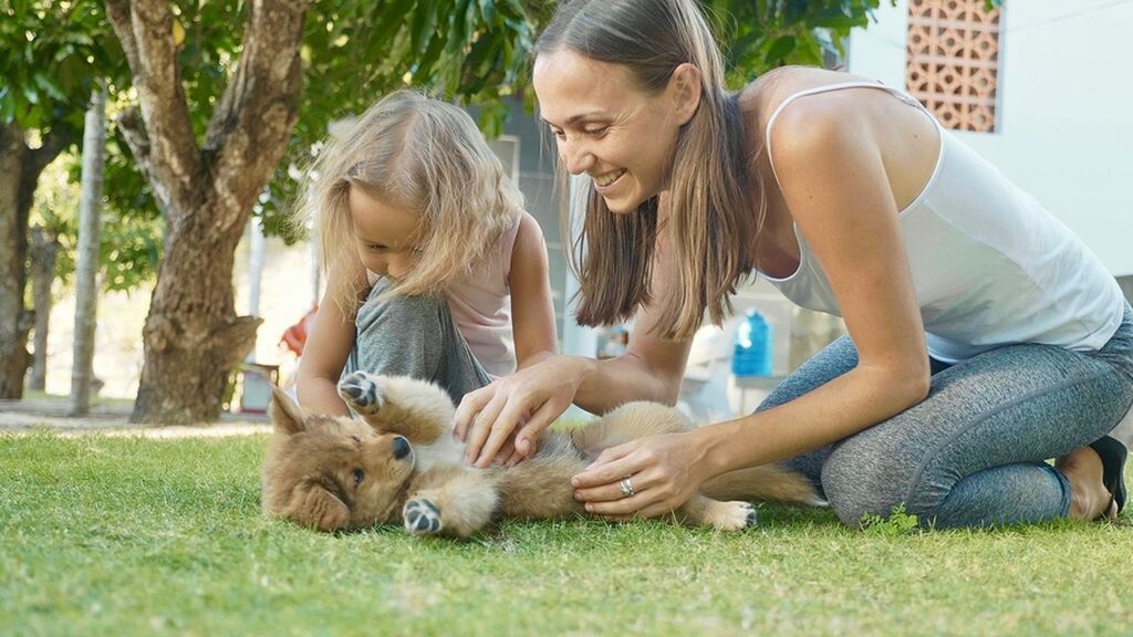 Γιατί μιλάμε μωρουδιακά (baby talk) στα σκυλάκια μας;