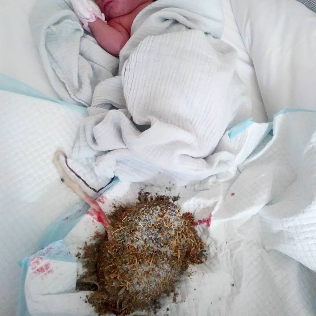 Η γέννηση του λωτού: Φωτογραφίες που κόβουν την ανάσα (pics)