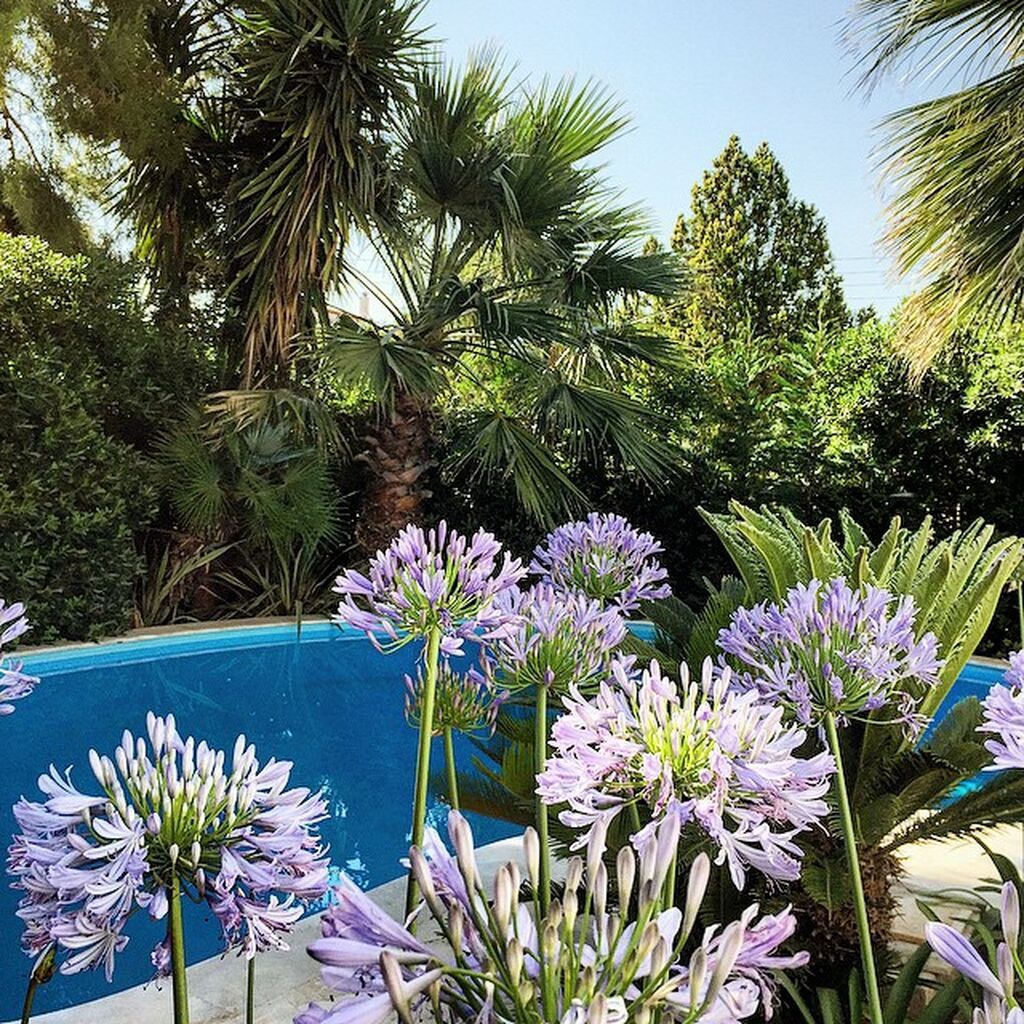 Ο Γιώργος Μαζωνάκης μας δείχνει το σπίτι του (pics)