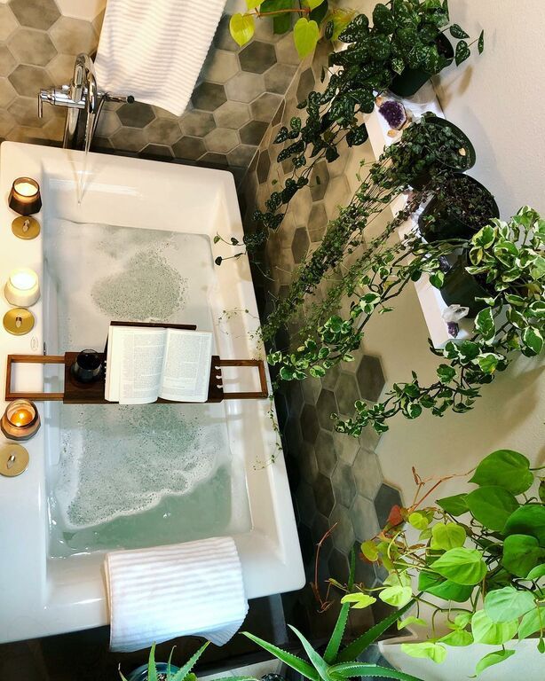 Φέρτε την άνοιξη στο μπάνιο σας: Εντυπωσιακές διακοσμητικές ιδέες με φυτά (vid)