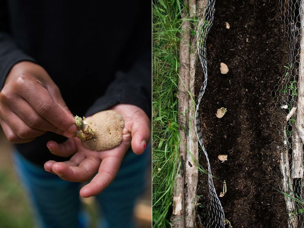 Η Anna και τα παιδιά της καλλιεργούν το δικό τους κήπο. Δείτε την εξαιρετική σοδιά τους (pics) 