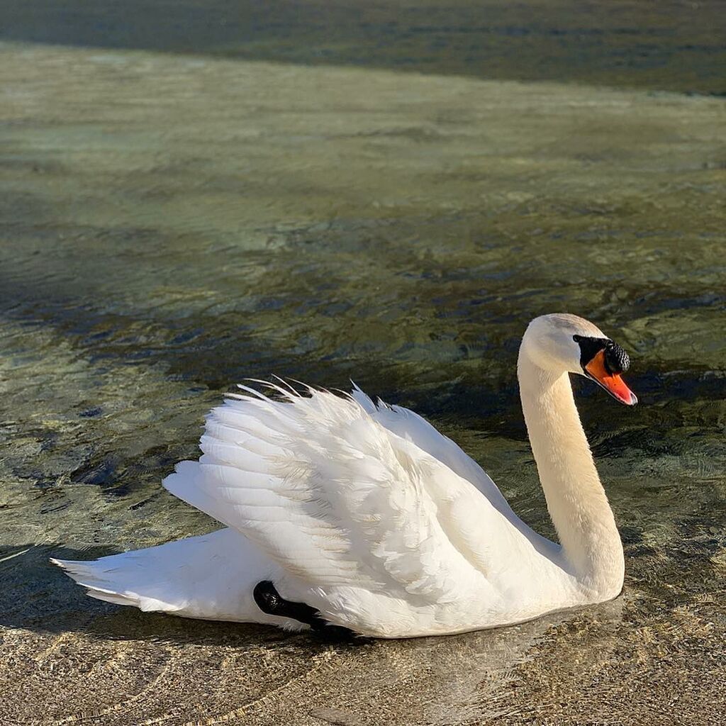 Ελένη Μενεγάκη-Ματέο Παντζόπουλος: Οι νέες φωτογραφίες από τα Άχλα, που μας μάγευσαν 