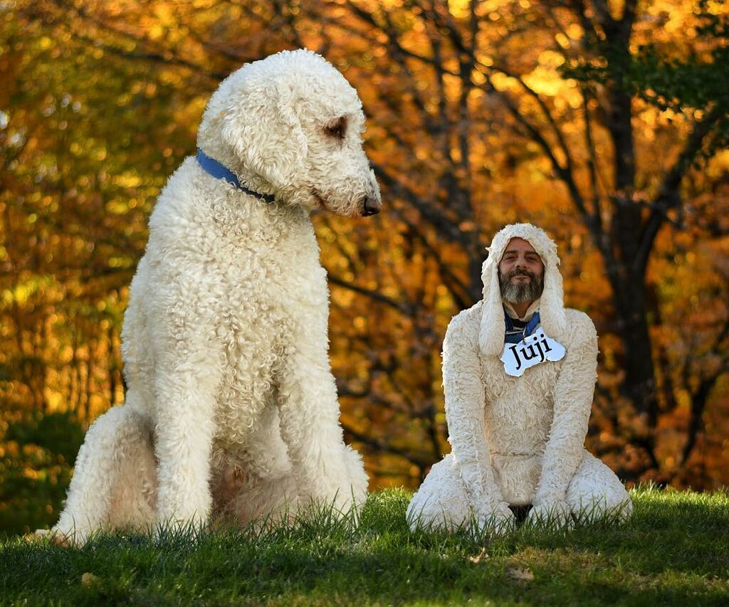 Φωτογραφίζεται με τον τεράστιο σκύλο του στις πιο φανταστικές πόζες που έχετε δει (pics) 
