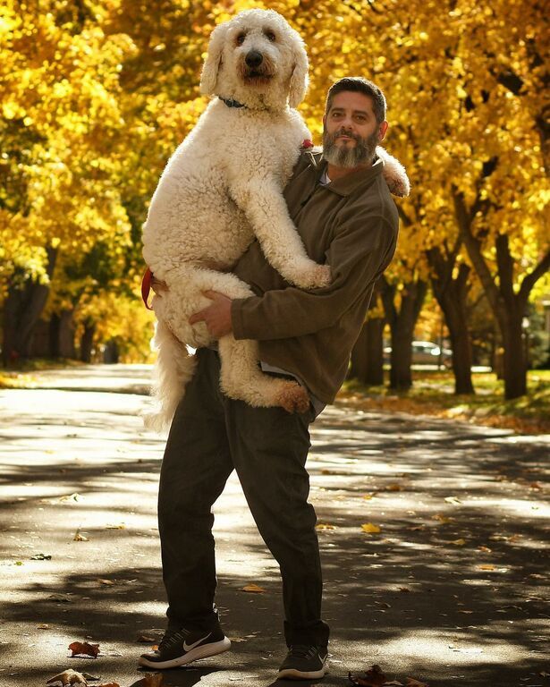Φωτογραφίζεται με τον τεράστιο σκύλο του στις πιο φανταστικές πόζες που έχετε δει (pics) 