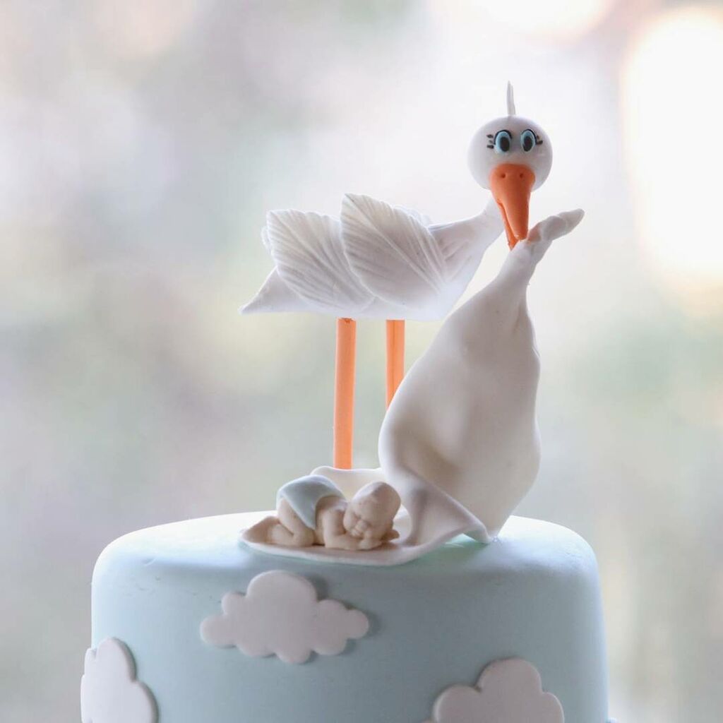 Baby shower με θέμα τον πελαργό (pics) 