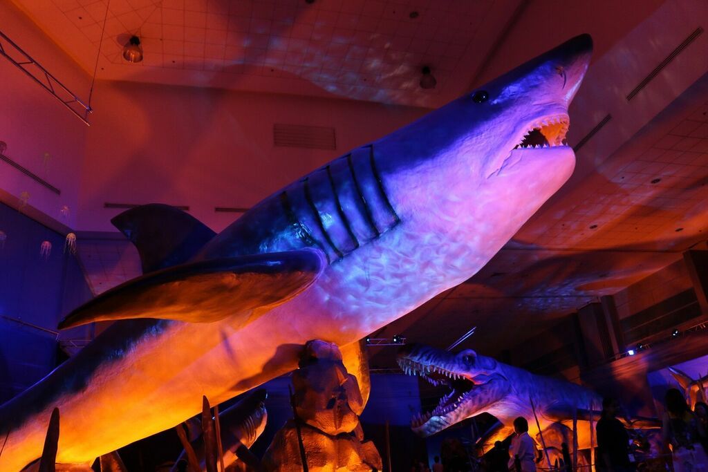 Η έκθεση «Δεινόσαυροι και τέρατα των θαλασσών» από τις 8 Μαΐου στον Ελληνικό Κόσμο 