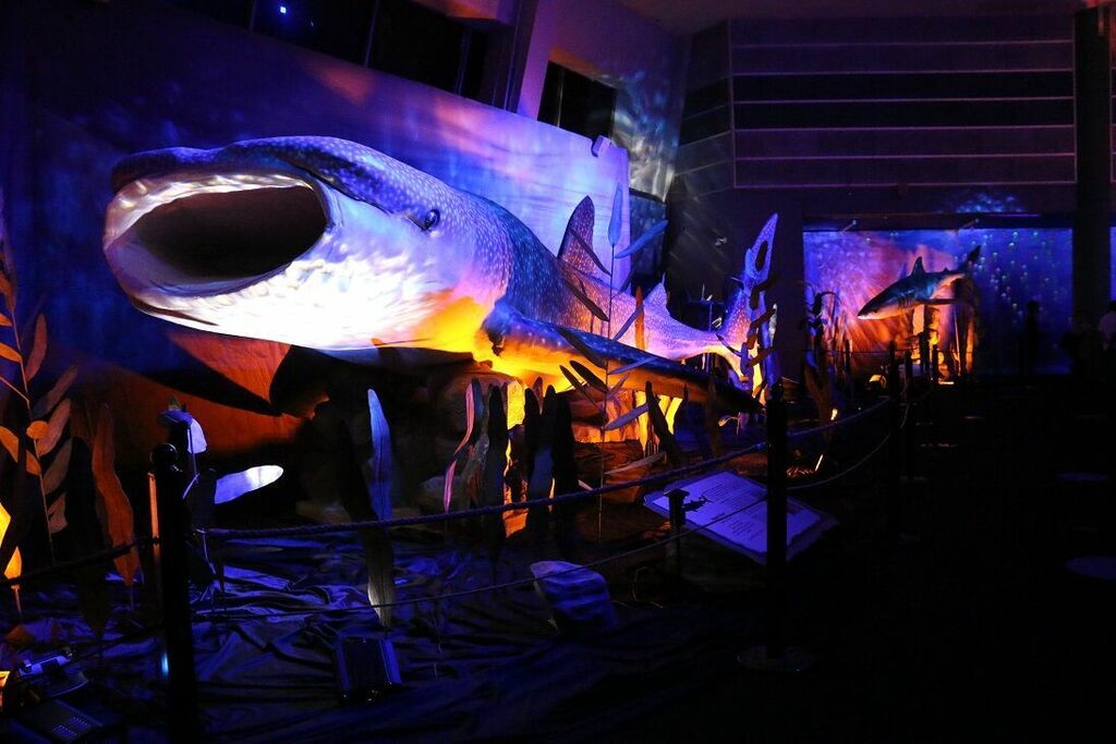 Η έκθεση «Δεινόσαυροι και τέρατα των θαλασσών» από τις 8 Μαΐου στον Ελληνικό Κόσμο 