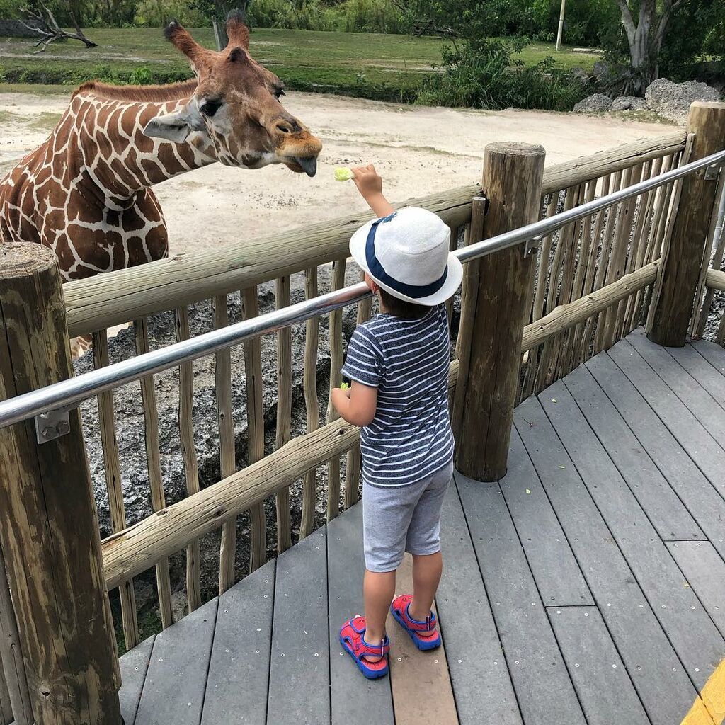 Μαριέττα Χρουσαλά - Λέων Πατίτσας : Δείτε πού φωτογράφισαν τα παιδιά τους (pics) 