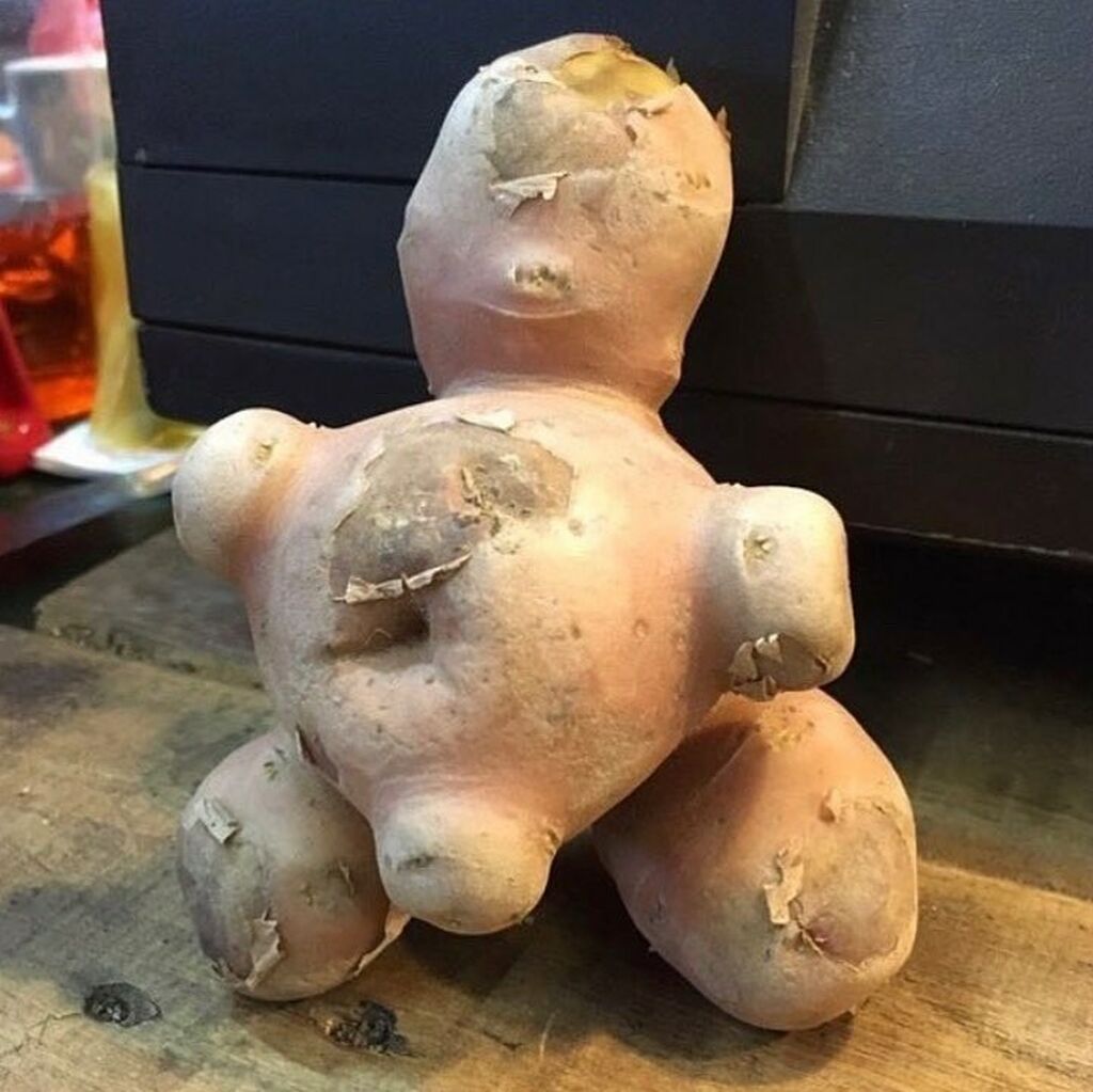 Αυτά είναι τα πιο περίεργα φρούτα και λαχανικά που έχετε δει (pics) 