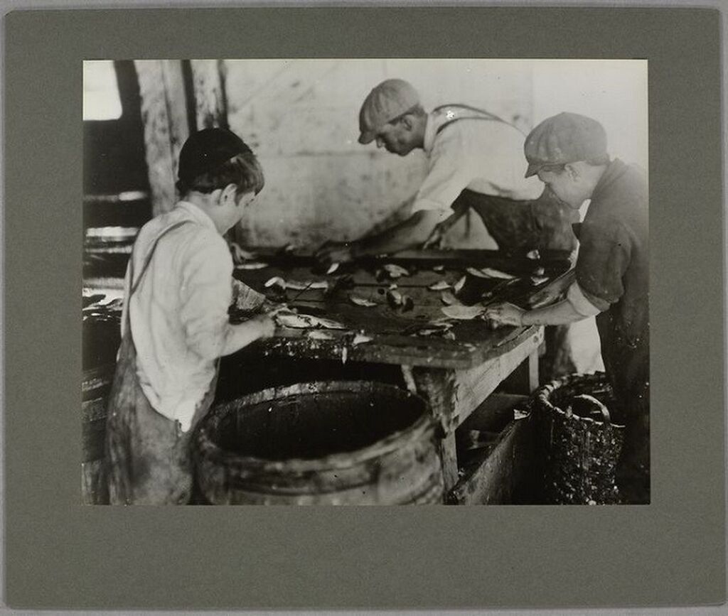 Παιδιά πλένουν και καθαρίζουν ψάρια με μαχαίρια.