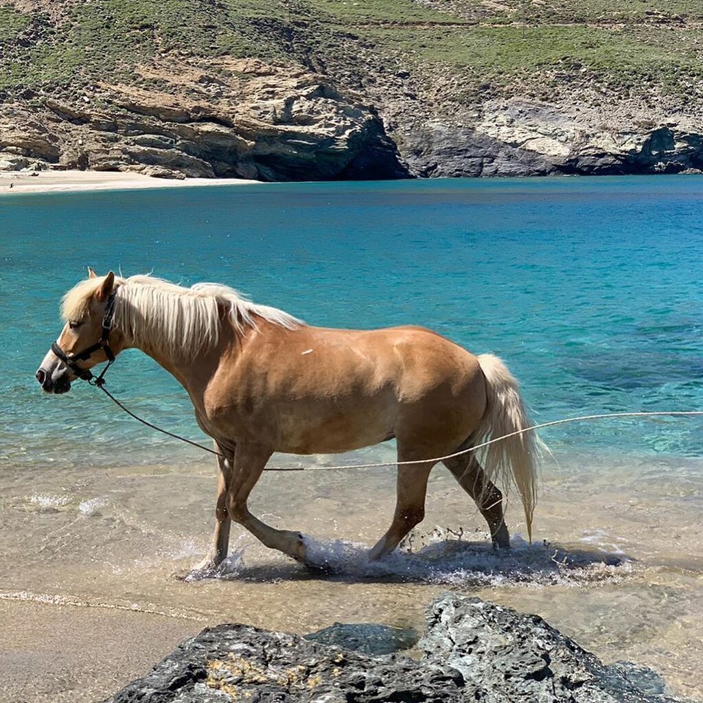 Ελένη Μενεγάκη: Αυτές είναι οι πρώτες καλοκαιρινές φωτογραφίες από την Άνδρο (pics) 