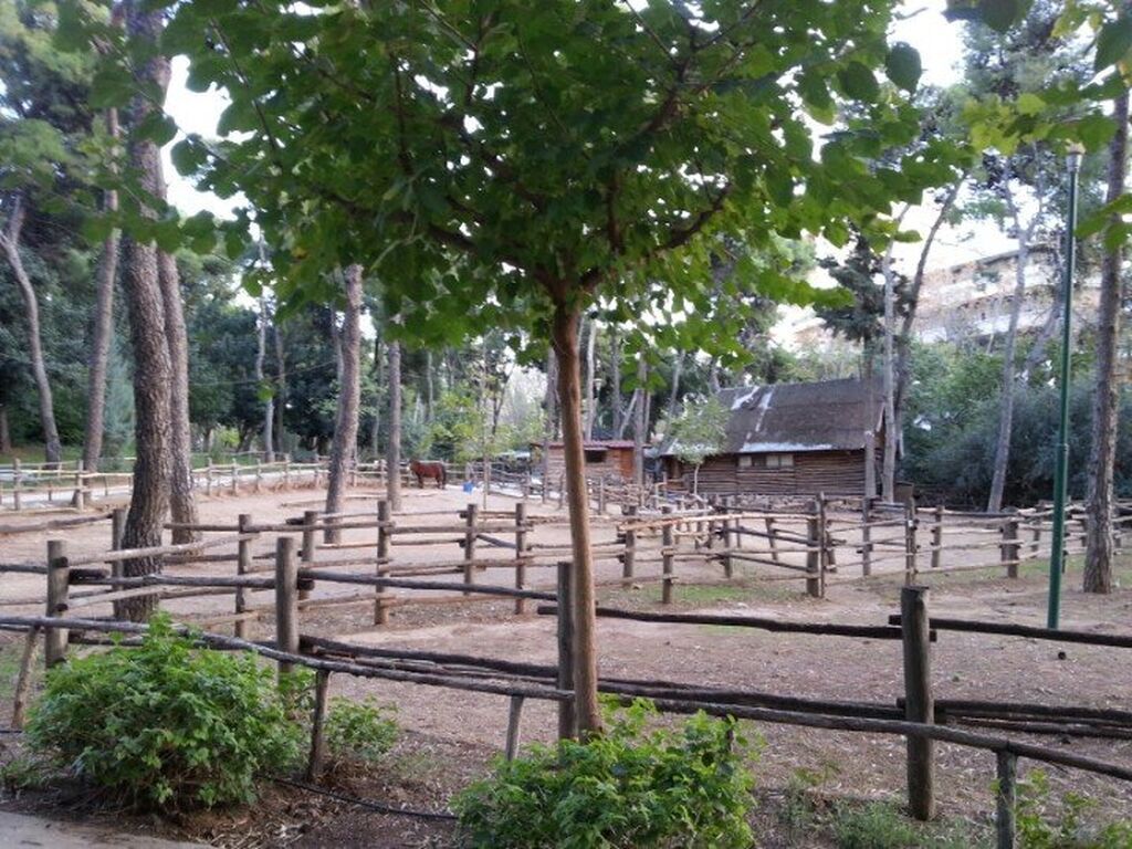 Άλσος πρώην Σχολής Χωροφυλακής: Κάντε μια βόλτα στο πιο κεντρικό πάρκο της Αθήνας 