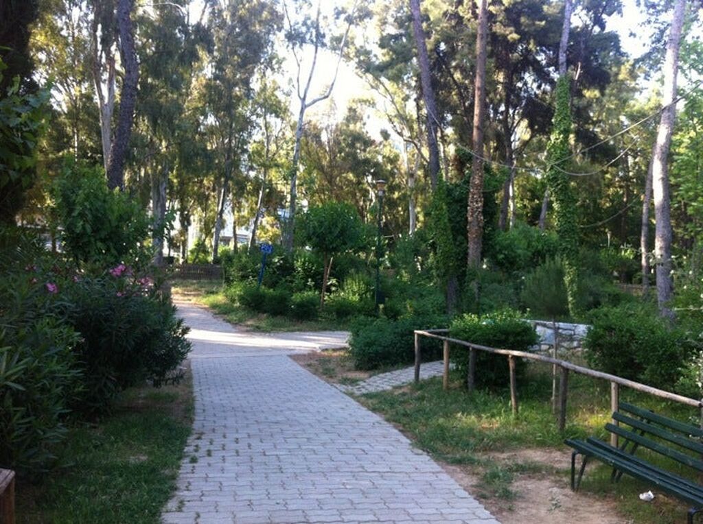 Άλσος πρώην Σχολής Χωροφυλακής: Κάντε μια βόλτα στο πιο κεντρικό πάρκο της Αθήνας 