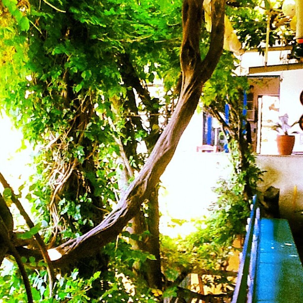 Ελένη Μενεγάκη: Θα εκπλαγείτε με τις πρώτες φωτό της στο instagram και την αλλαγή του προφίλ της  