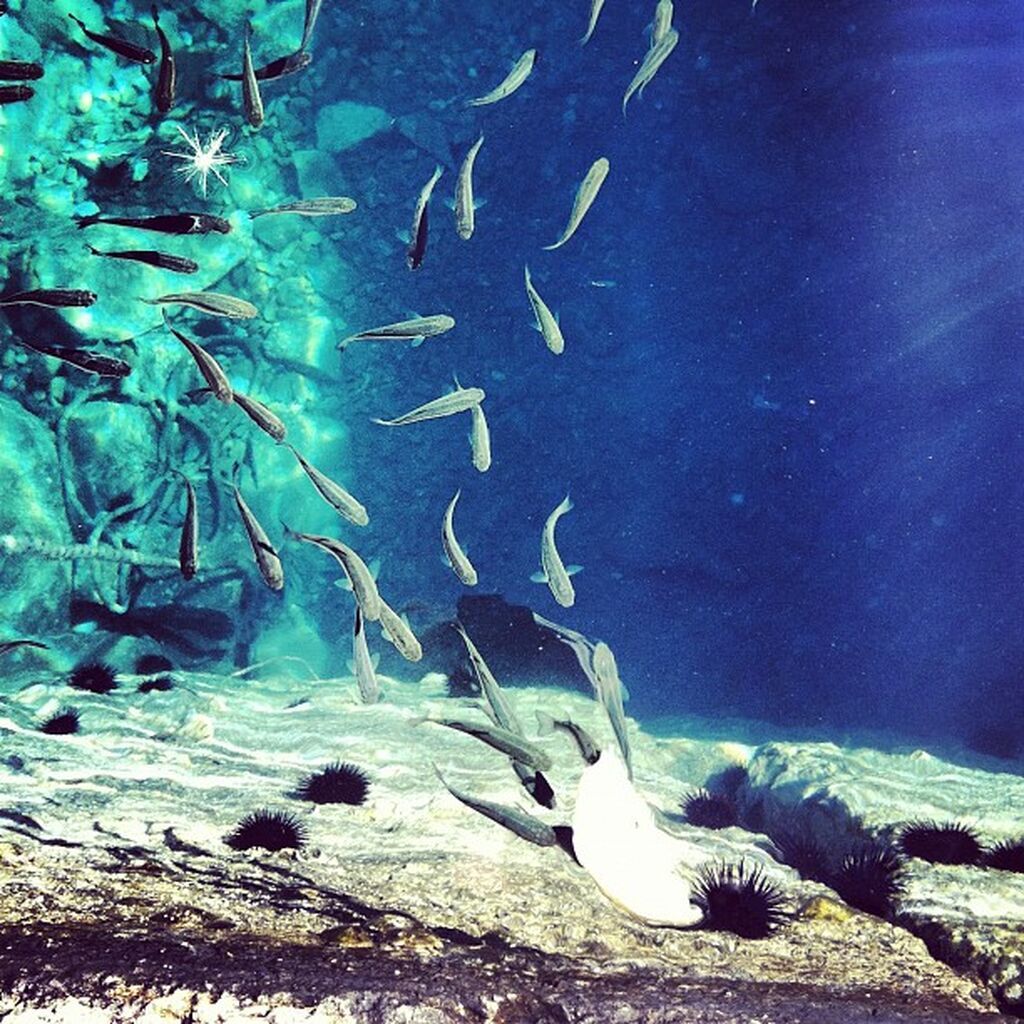 Ελένη Μενεγάκη: Θα εκπλαγείτε με τις πρώτες φωτό της στο instagram και την αλλαγή του προφίλ της  