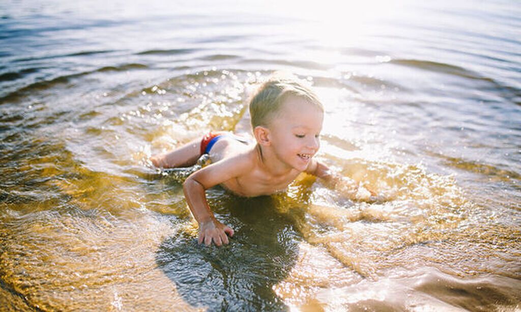 Συλλογή από βότσαλα και κοχύλια 