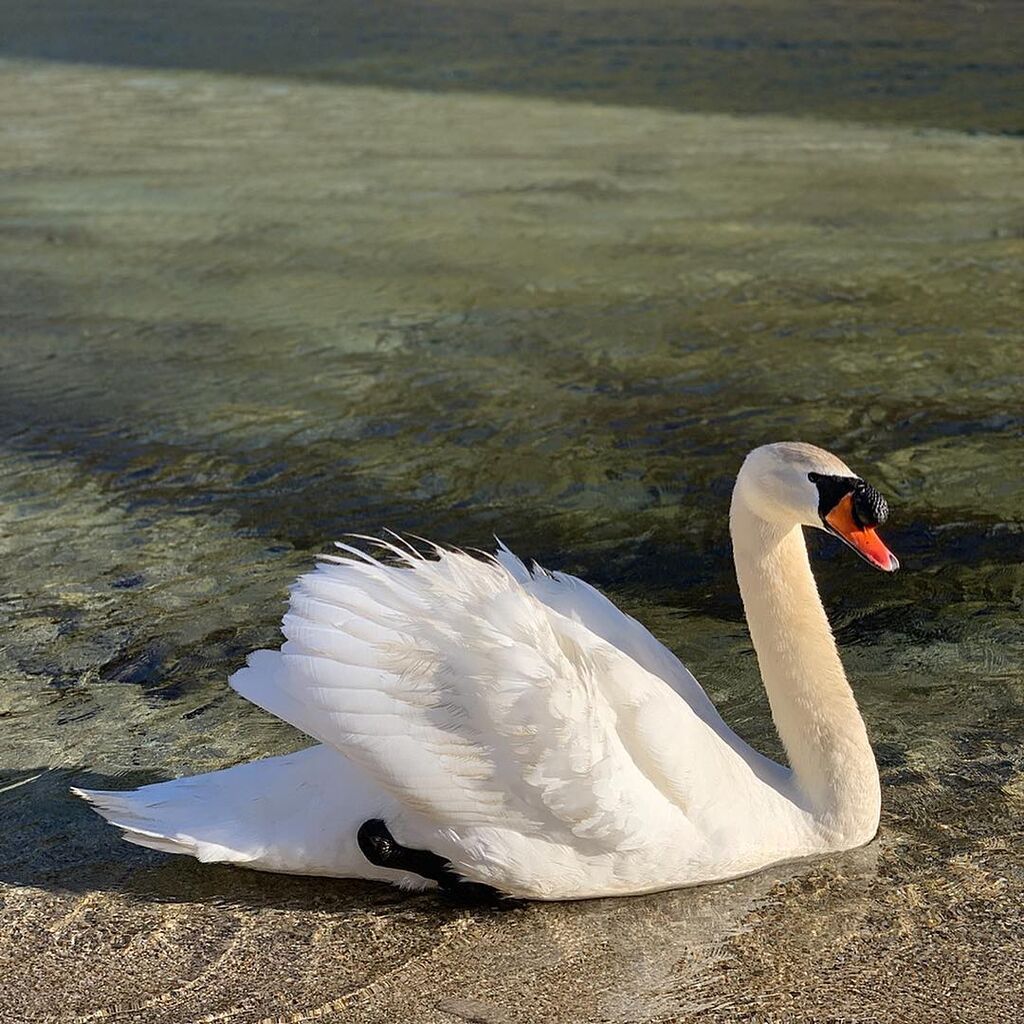 Μάκης Παντζόπουλος: Μας δείχνει όλα όσα λατρεύει η Ελένη και η κόρη του στην Άνδρο (pics)