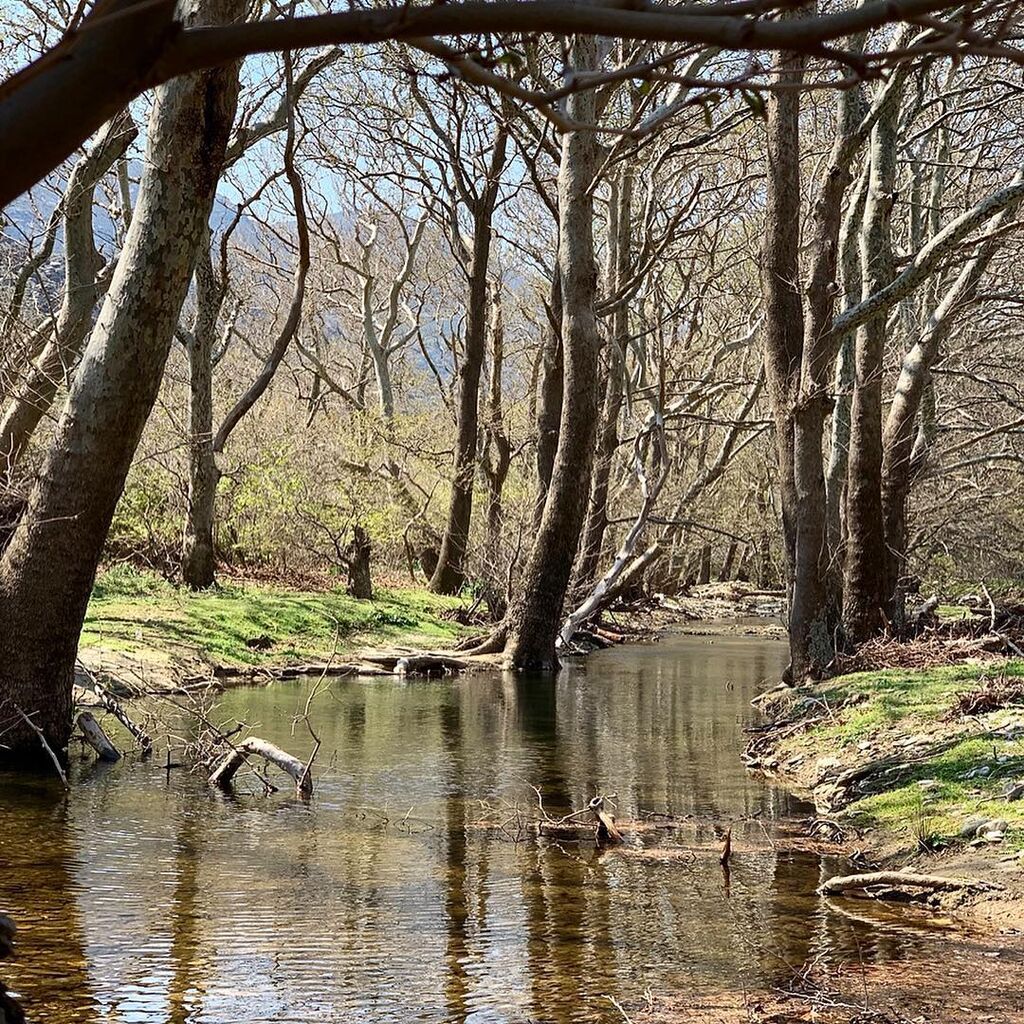 Μάκης Παντζόπουλος: Μας δείχνει όλα όσα λατρεύει η Ελένη και η κόρη του στην Άνδρο (pics)