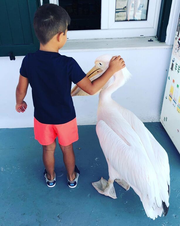 3. Να αγαπούν τα ζώα: Φαίνεται πως ο Γιώργος Λιάγκας έχει διδάξει στα παιδιά του να δείχνουν σεβασμό στα ζώα. Ο σεβασμός στα ζώα άλλωστε έιναι το πρώτο βήμα για να συμπεριφέρονται τα παιδιά μας με ανθρωπιά. 