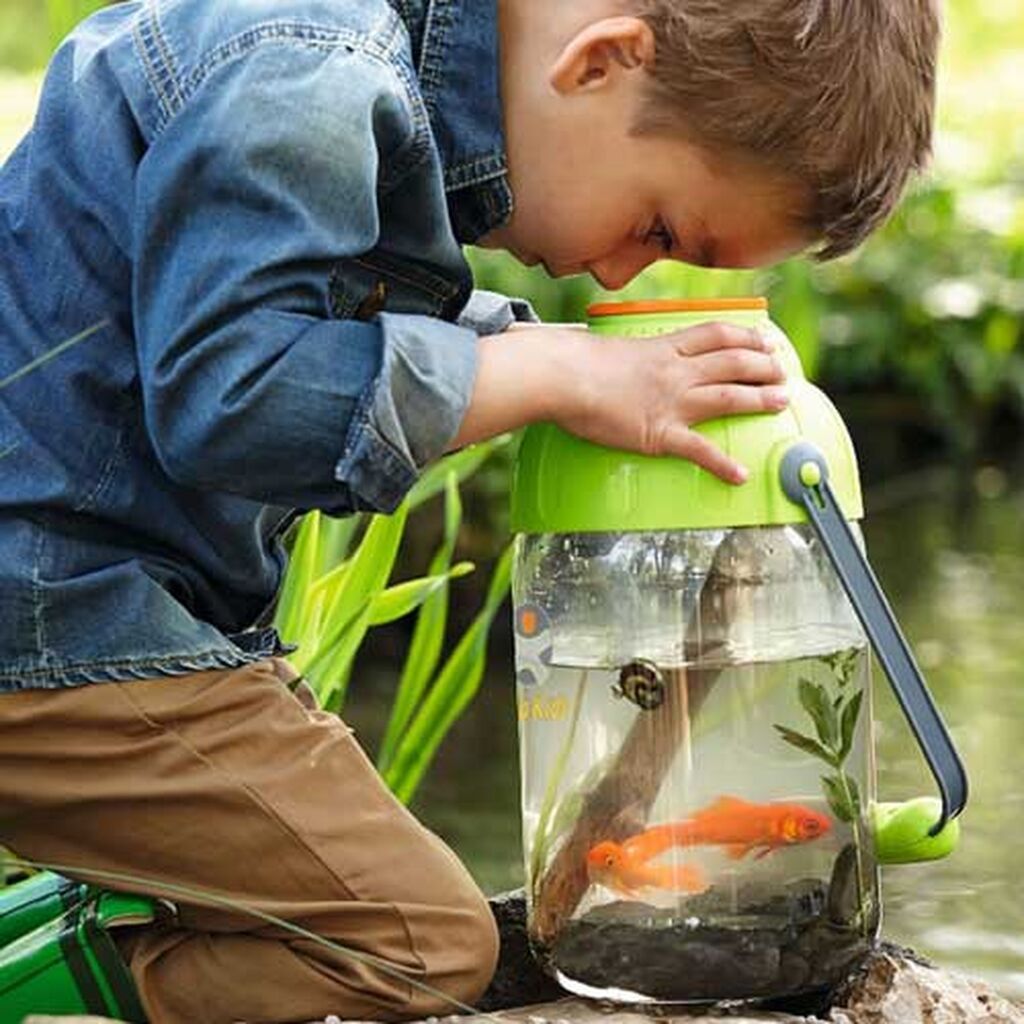 Αυτό το καλοκαίρι πιάστε πυγολαμπίδες