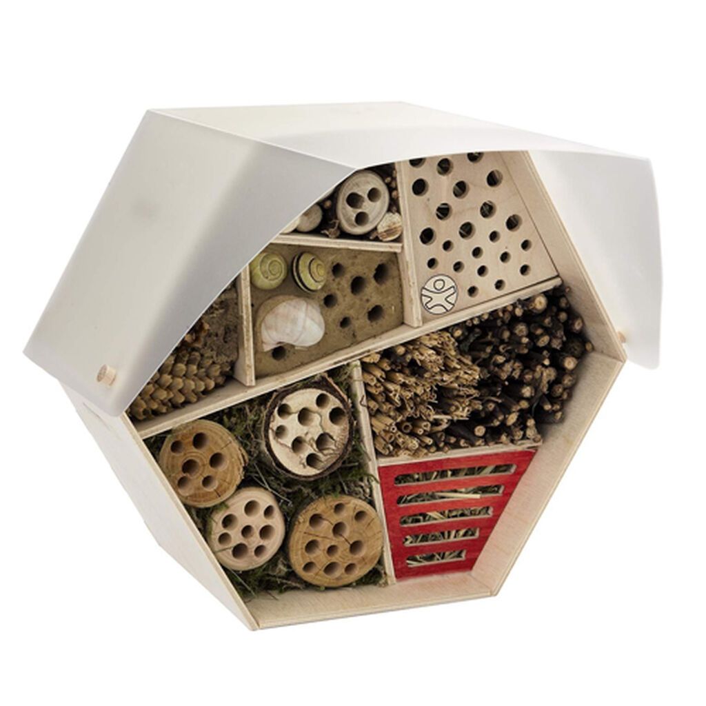 Με αυτό το παιχνίδι τα παιδιά μπορούν να ανακαλύψουν τις συνήθειες των πουλιών!