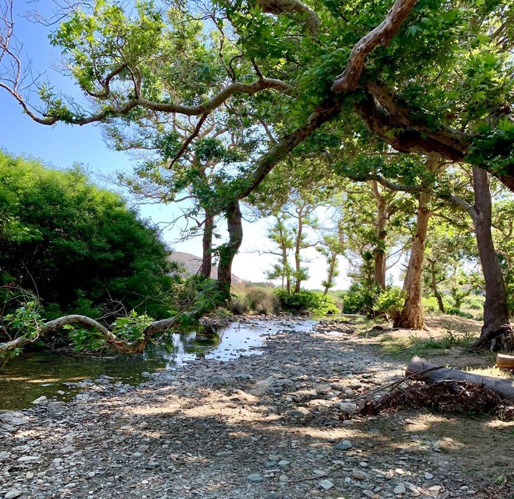 Η Ελένη λατρεύει τη φύση. 