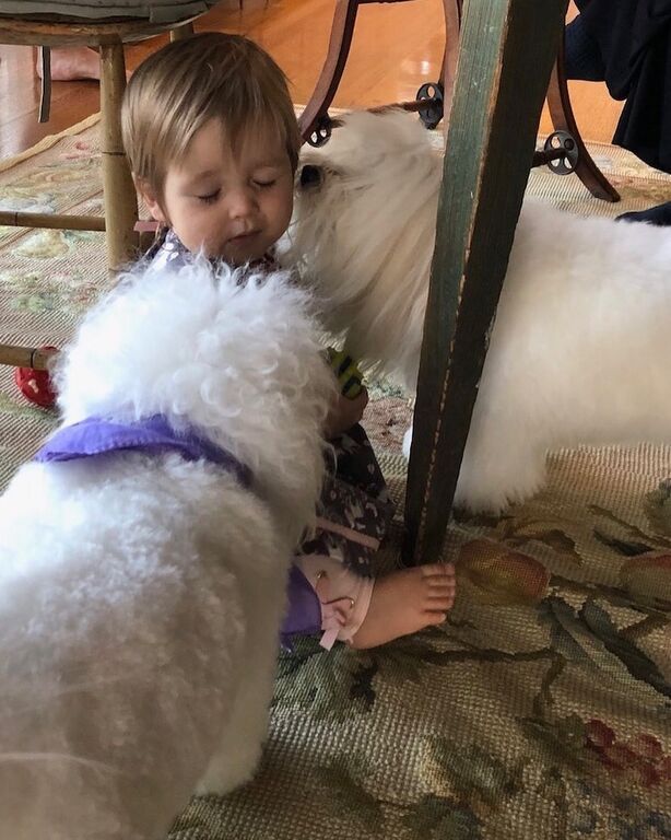 Barbra Streisand: Ξετρελαμένη με την εγγονή της - Δείτε πώς τη φωτογράφισε (pics) 