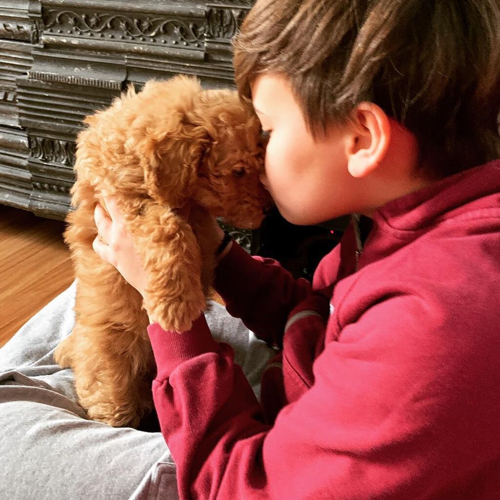 Ο γιος της Σίσσυς αρρώστησε και όπως φαίνεται «κόλλησε» και τον μεγαλύτερο αδερφό του. 