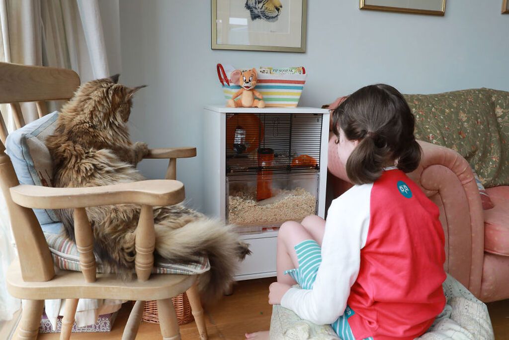 Ζωάκια βοηθούν παιδιά με αυτισμό - Οι φωτογραφίες που κάνουν το γύρο του διαδικτύου (pics)