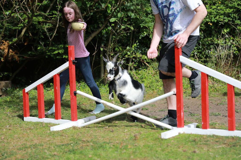 Ζωάκια βοηθούν παιδιά με αυτισμό - Οι φωτογραφίες που κάνουν το γύρο του διαδικτύου (pics)