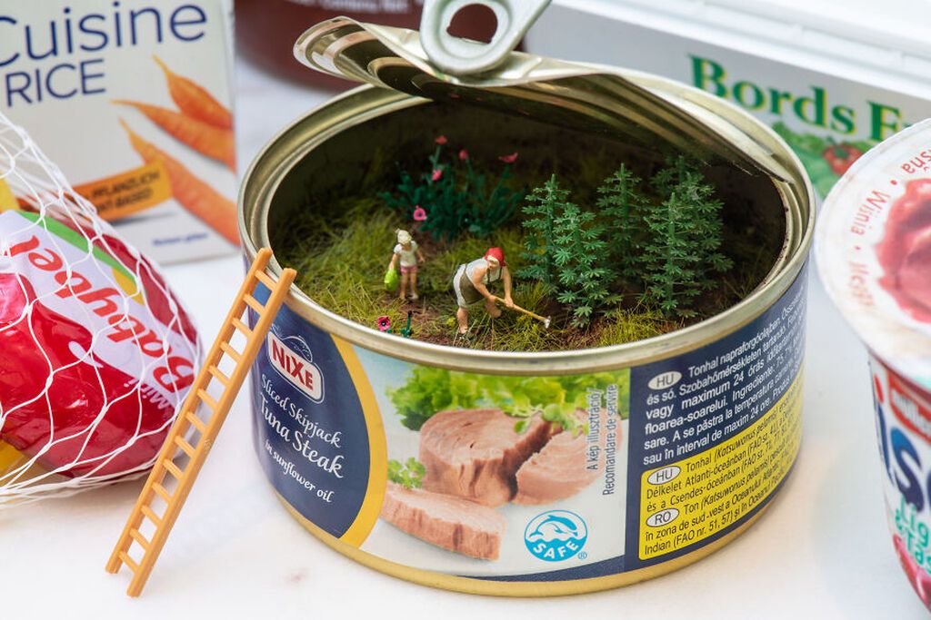 O κόσμος της μινιατούρας - Αυτές τις εκπληκτικές φωτογραφίες πρέπει να τις δείτε (pics)