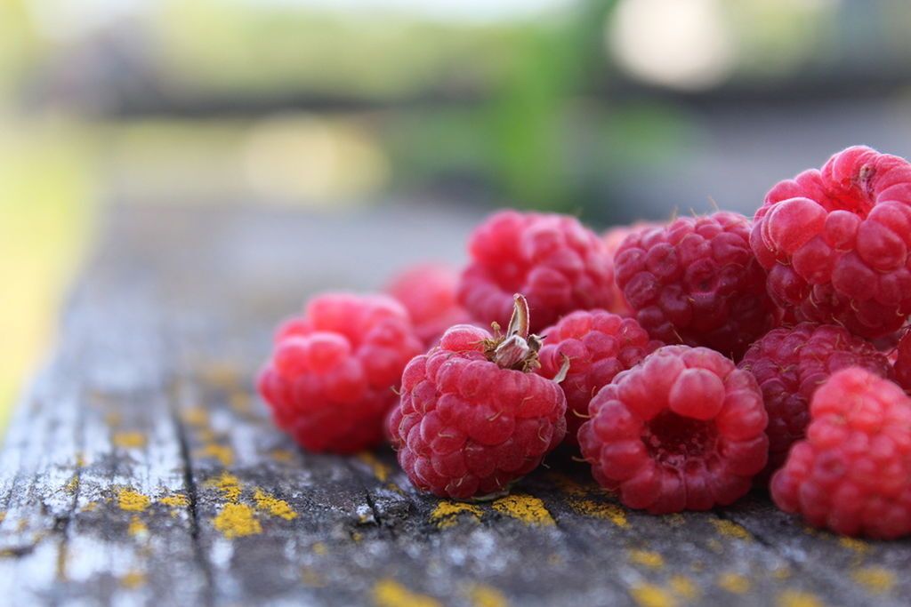 Raspberries 