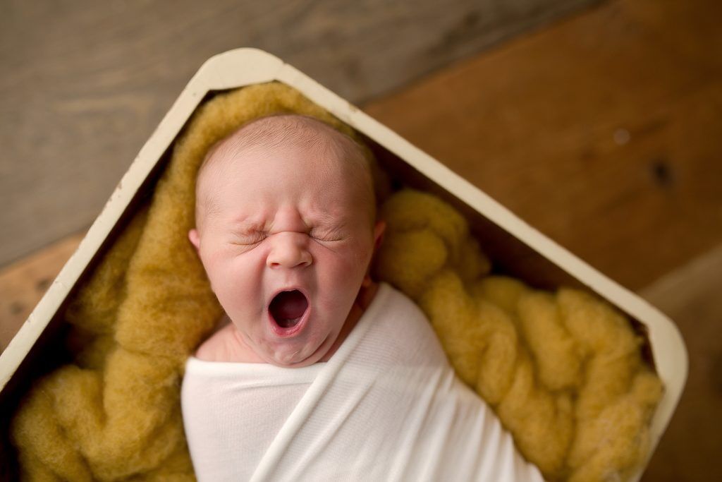 Νεογέννητα ποζάρουν για τον φωτογραφικό φακό και είναι αξιολάτρευτα (pics)