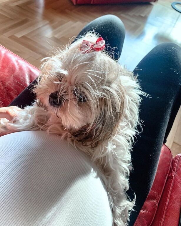 Νικολέττα Ράλλη: Μας δείχνει τη φουσκωμένη της κοιλίτσα & αποκαλύπτει τι ξεκίνησε να κάνει στο σπίτι