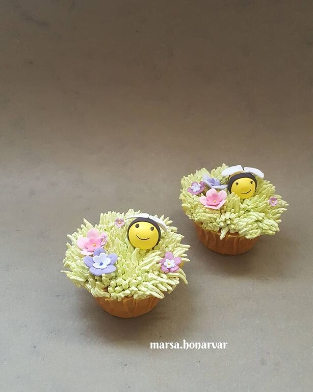 Πηγή φωτογραφίας: Instagram @marsa.honarvar
