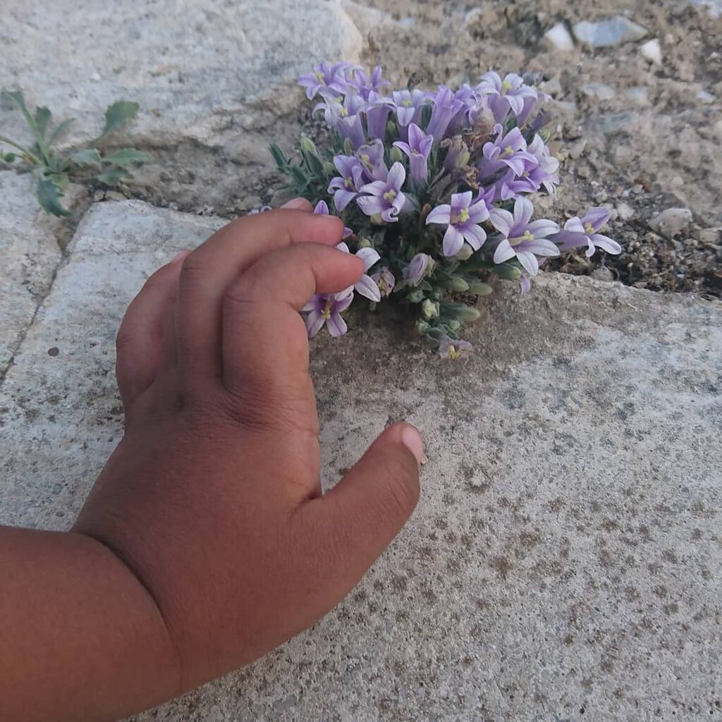 Βίκυ Βολιώτη: Φωτογράφησε την κόρη της μετά από καιρό - Η Άννα μεγάλωσε πολύ (pics)
