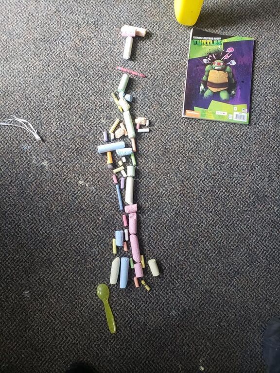 Φωτογραφία @ Landahlia12 / reddit