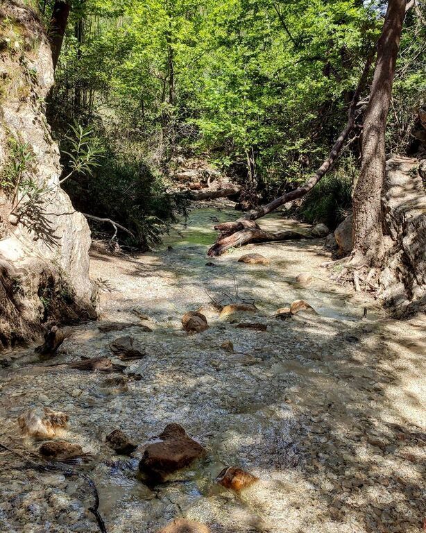 φωτογραφία Instagram@ johnsaltapi