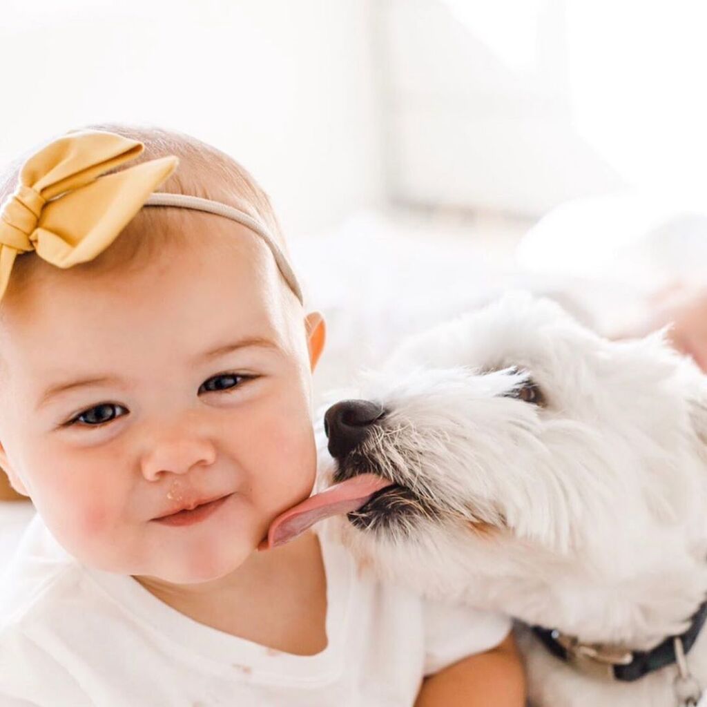 Πηγή φωτογραφίας: Instagram @poochandbabylove
