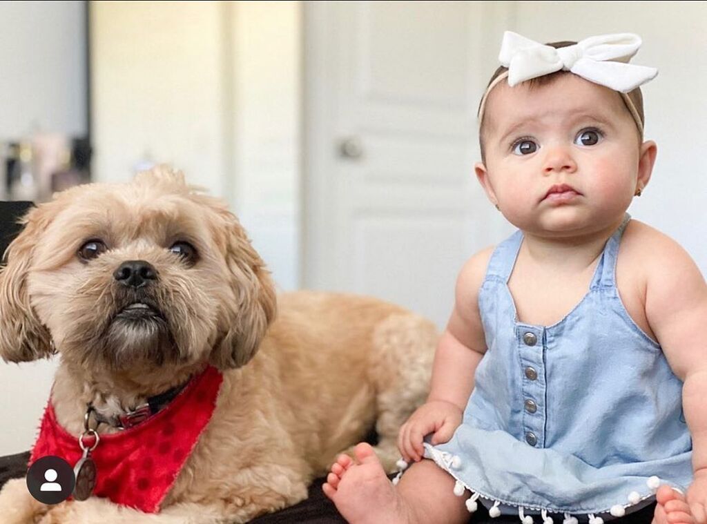 Πηγή φωτογραφίας: Instagram @poochandbabylove
