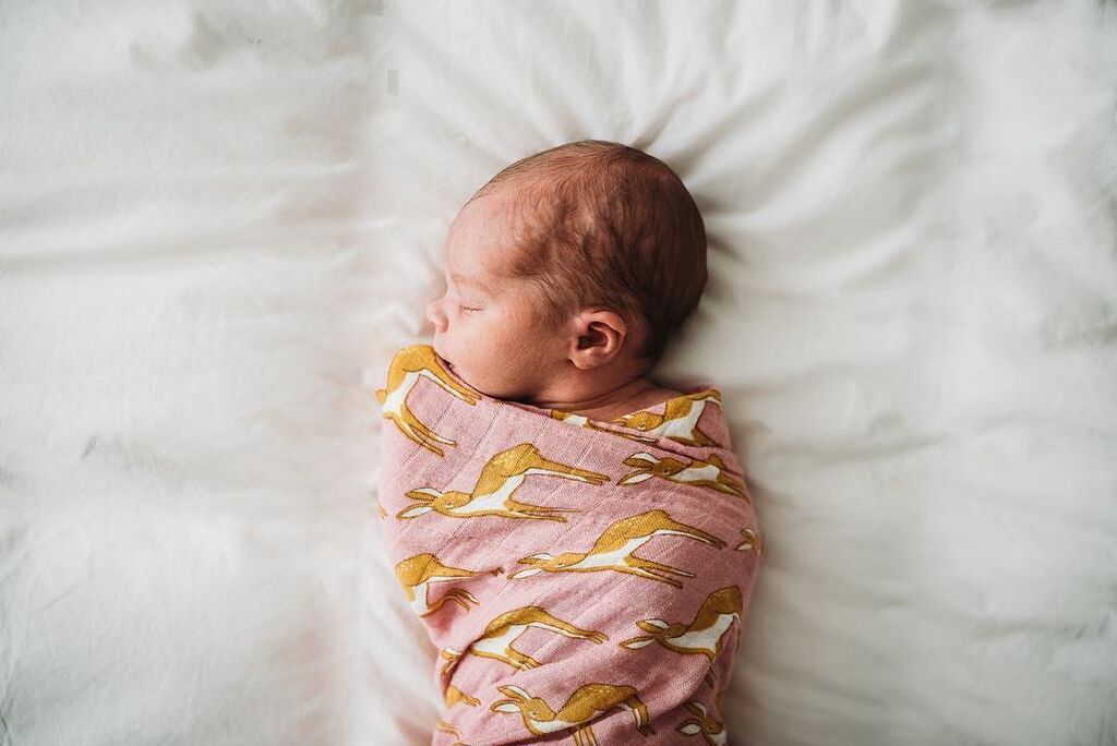 Αυτά τα μόλις λίγων ημερών μωράκια θα σας κλέψουν την καρδιά 